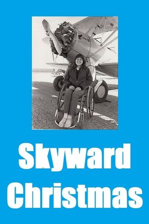 Skyward Christmas's poster