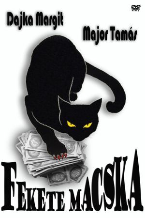 Fekete macska's poster