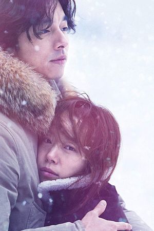 A Man and a Woman's poster