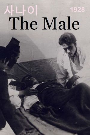 The Male's poster