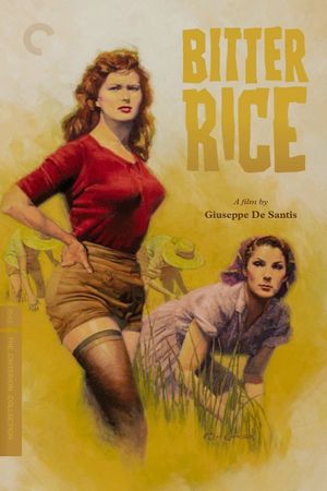Bitter Rice's poster