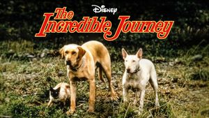 The Incredible Journey's poster