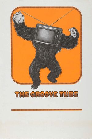 The Groove Tube's poster image