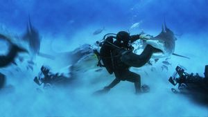 Man vs. Shark's poster