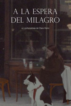 A la espera del milagro's poster