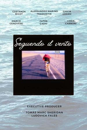 Seguendo il vento's poster