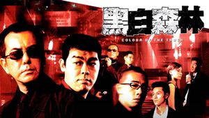 Colour of the Truth's poster