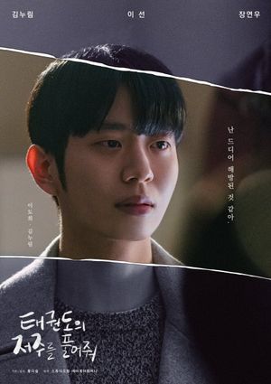 Let Free the Curse of Taekwondo's poster