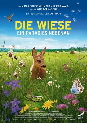 Die Wiese's poster