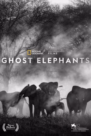 Ghost Elephants's poster