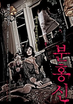 The Red Shoes's poster