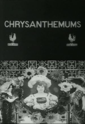 Chrysanthemums's poster