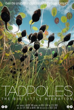 Tadpoles: The Big Little Migration's poster