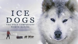 Ice Dogs: The Only Companions Worth Having's poster