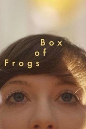 Box of Frogs's poster