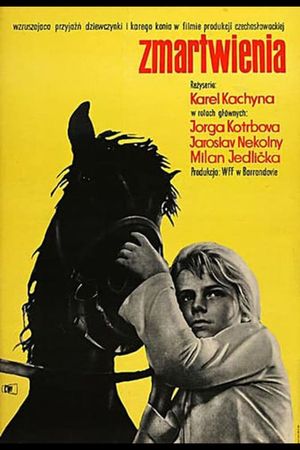 The Stress of Youth's poster