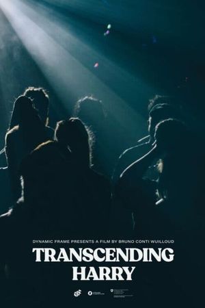 Transcending Harry's poster image