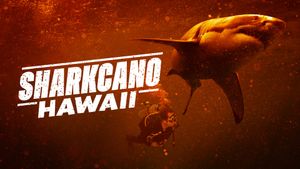 Sharkcano: Hawaii's poster