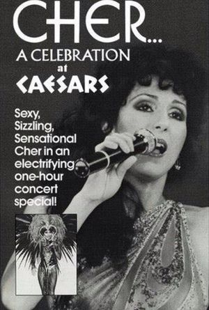 Standing Room Only: Cher in Concert's poster