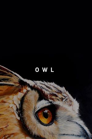 Owl's poster