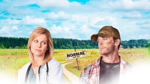 Finding Normal's poster