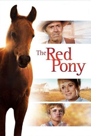 The Red Pony's poster