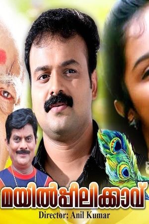 Mailpeelikkavu's poster
