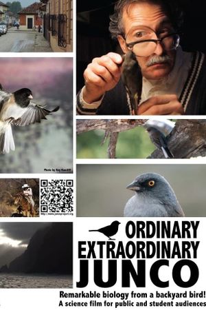 Ordinary Extraordinary Junco's poster