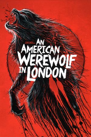 An American Werewolf in London's poster