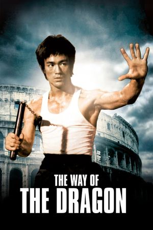 The Way of the Dragon's poster