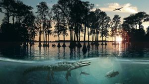 Hurricane on the Bayou's poster