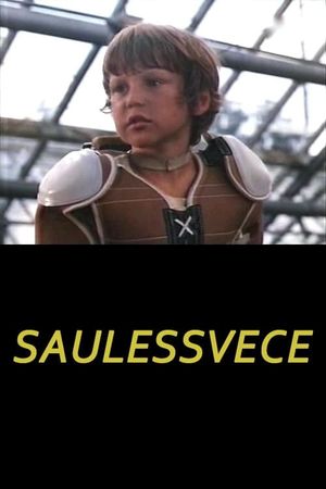 Saulessvece's poster image