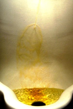 Piss's poster