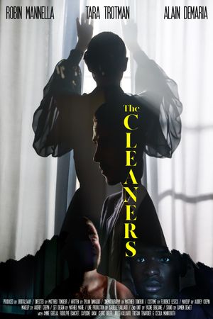 The Cleaners's poster