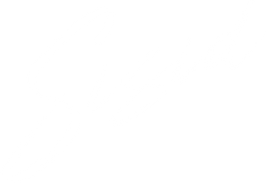 Sisid's poster