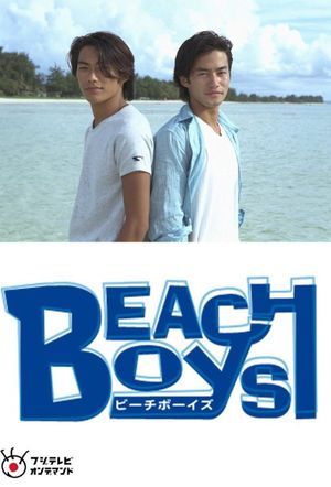 Beach Boys Special's poster