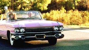 Pink Cadillac's poster