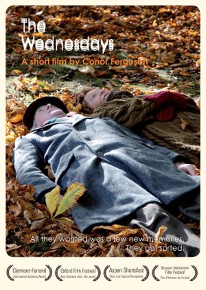 The Wednesdays's poster