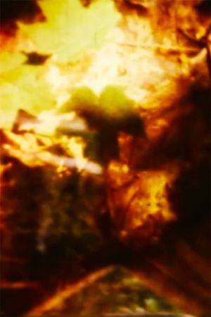 Groundwork's poster