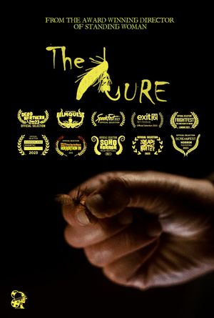 The Lure's poster