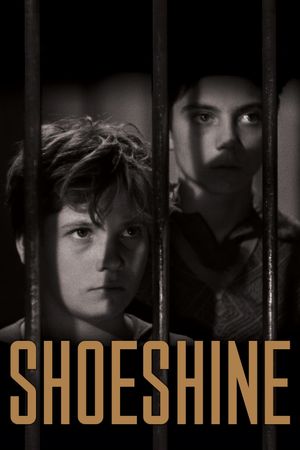 Shoeshine's poster