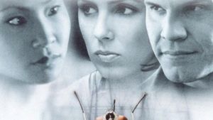 Flypaper's poster