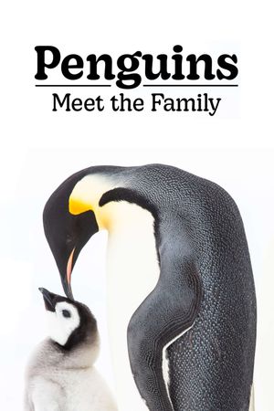 Penguins: Meet the Family's poster