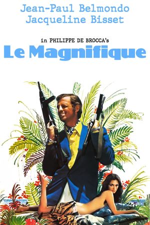 Le Magnifique's poster