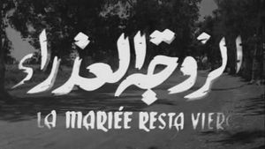 The Virgin Wife's poster