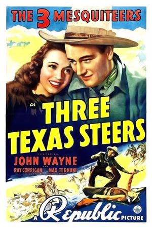 Three Texas Steers's poster