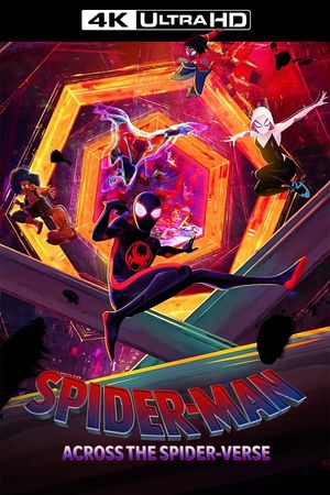 Spider-Man: Across the Spider-Verse's poster