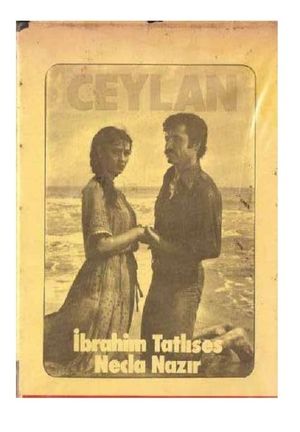 Ceylan's poster image