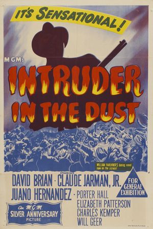 Intruder in the Dust's poster