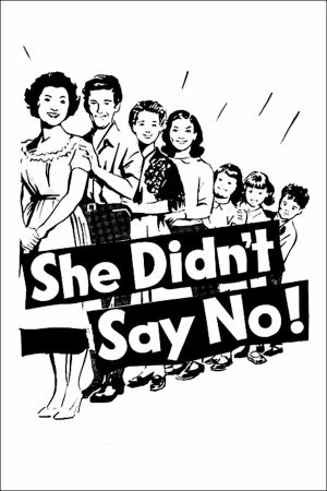 She Didn't Say No's poster